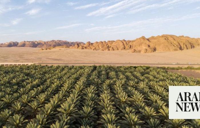 IoT revolutionizes Saudi agriculture toward sustainability and prosperity