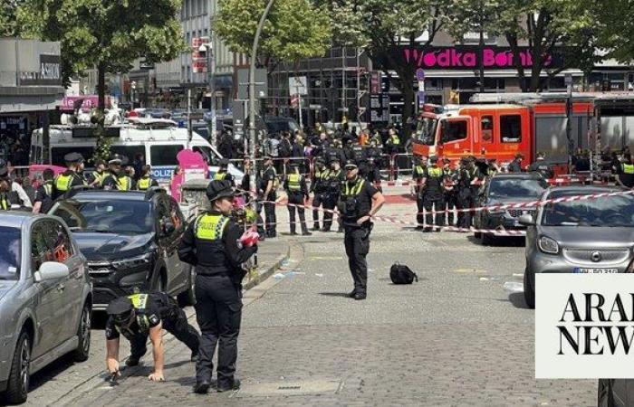 Hamburg police fire shots at axe-wielding person at Euro 2024 fan parade