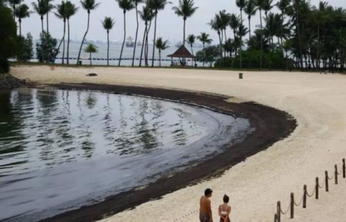 Singapore races to clean up beaches after oil spill