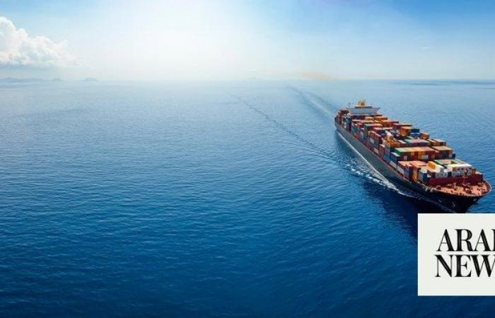 AI can help shipping industry cut down emissions, report says