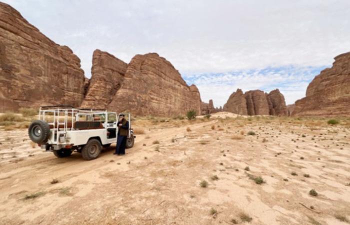 Unwind and reconnect with nature at these Saudi reserves and resorts