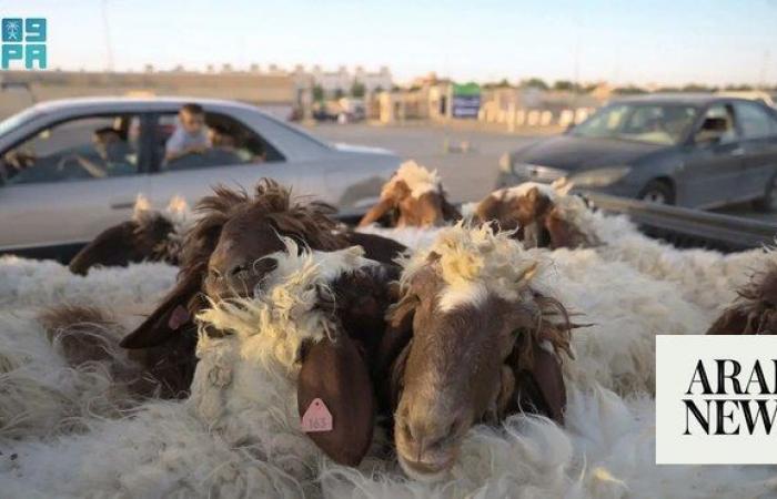 Ministry supervises Riyadh slaughterhouses for Eid