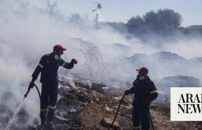 One dead in Greek wildfires fanned by gale-force winds