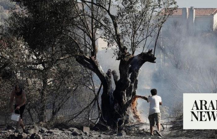 Anger after fireworks trigger Greek forest fire