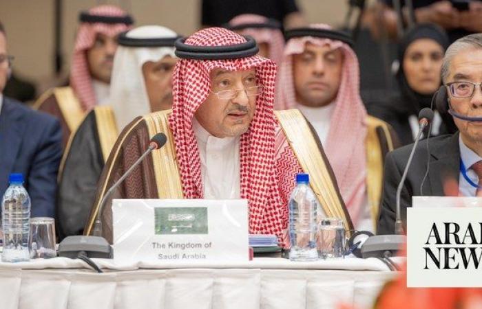 Saudi deputy FM stresses need for immediate halt to Israeli military operations in Gaza