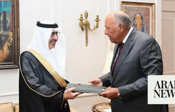 Saudi ambassador to Egypt hands over copy of credentials to Egyptian FM