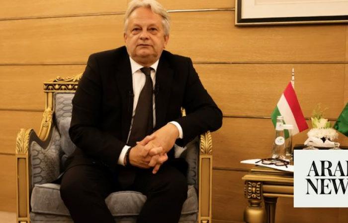 Success of Saudi Vision 2030 ‘good basis for cooperation,’ says Hungary official