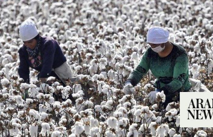 Uyghur group wins appeal over UK investigation into ‘slave labor’ cotton