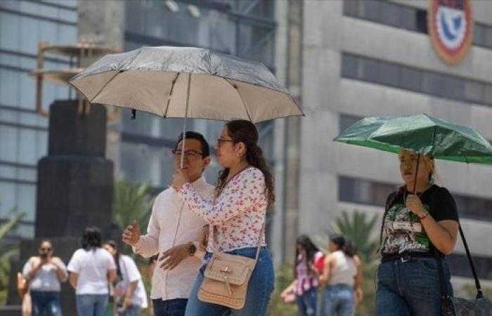 5 billion people affected by extreme heat due to climate change in 9 days of June