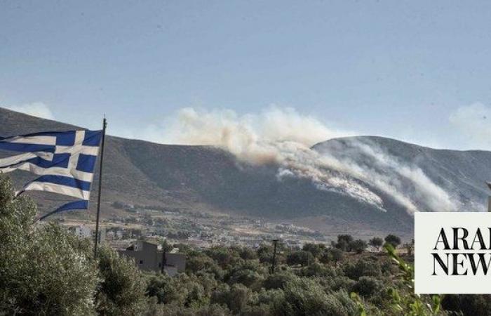 Wildfire fanned by strong wind rages in forest area near Athens