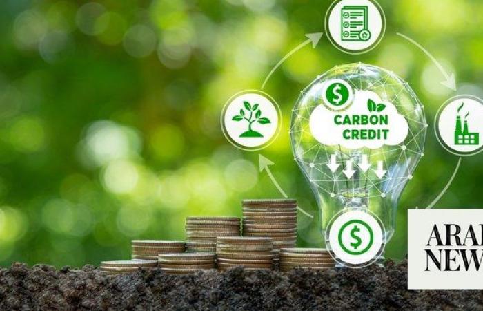 Global carbon credit market set to reach $100bn by 2035: Oliver Wyman