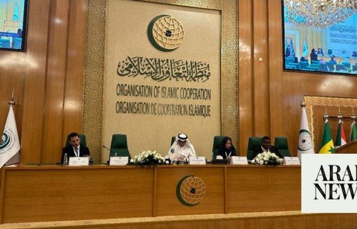‘Many challenges’ in combating Islamophobia, protecting human rights: top OIC official