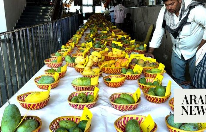 Mango galore: Annual festival delights thousands of visitors in New Delhi