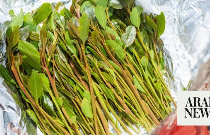 Saudi border guards seize over a ton of qat