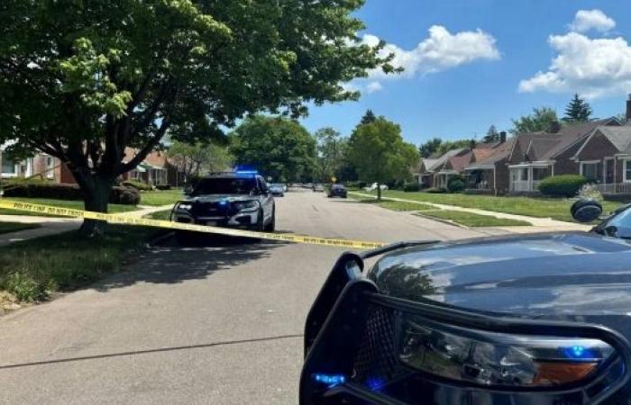 2 dead, 19 injured after block party shooting in Detroit, police say