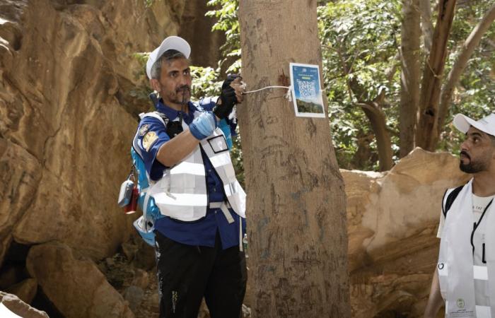 Saudi nature walking scheme promotes environmental awareness