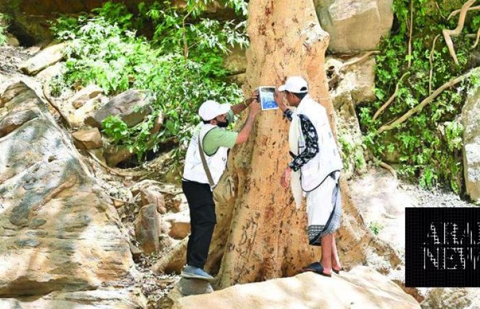 Saudi nature walking scheme promotes environmental awareness