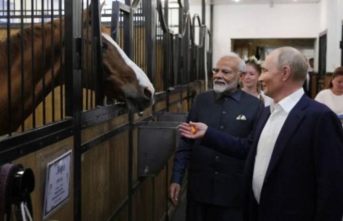 Zelensky blasts Modi meeting with Putin as 'devastating blow' to peace efforts