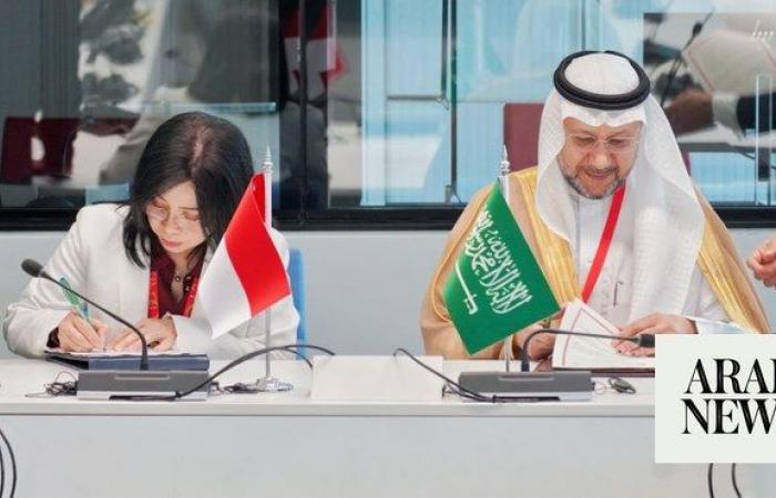 Saudi Arabia, Indonesia join hands to develop intellectual property ecosystem