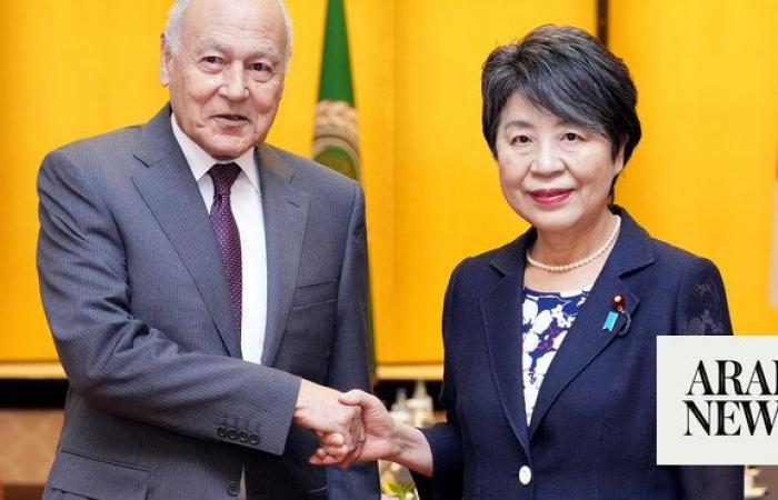 Arab League, Japan officials discuss cooperation, Mideast stability