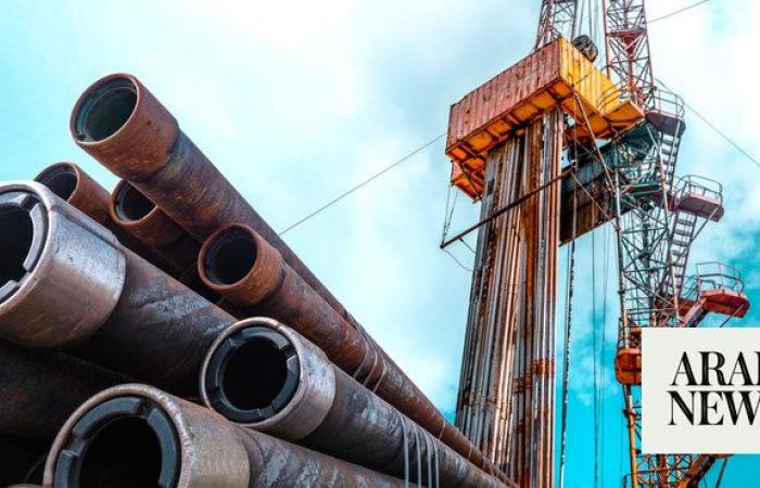 Egypt to invest $1.2bn in drilling 110 exploratory wells in 2024/2025