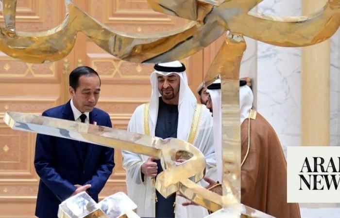 Indonesian president secures UAE deal on new capital’s financial center