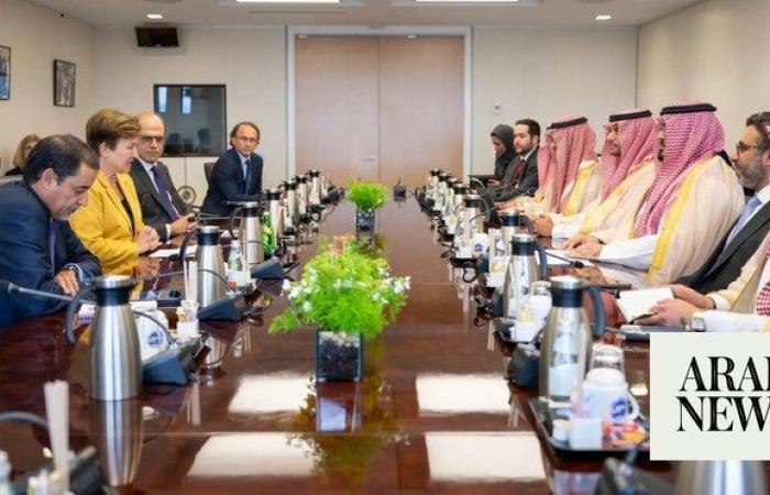 Saudi economy minister in talks with IMF managing director