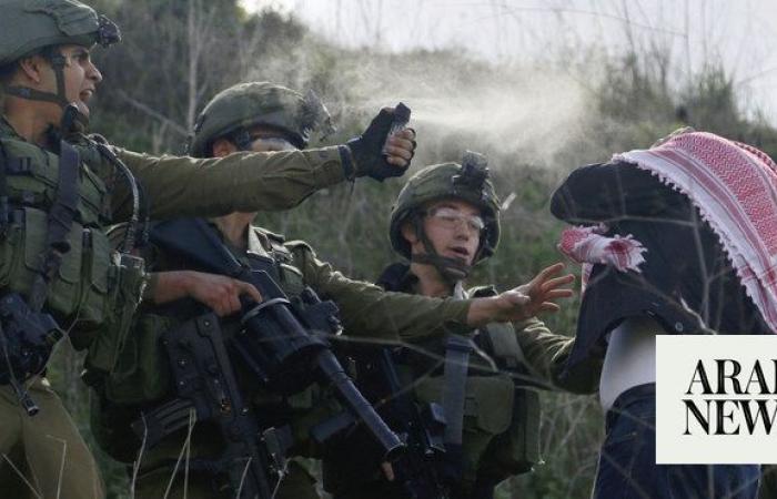 EU backs ICJ ruling on ‘illegal’ Israeli occupation