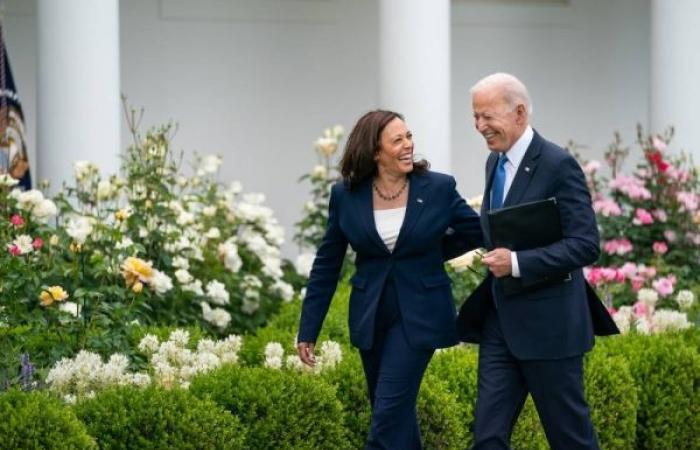US presidential race: Biden endorses Harris as Democratic nominee