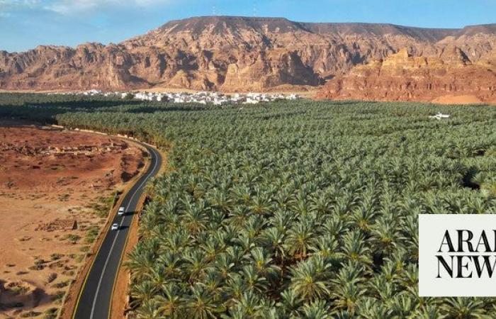 More than 3m date palms in AlUla, latest report shows