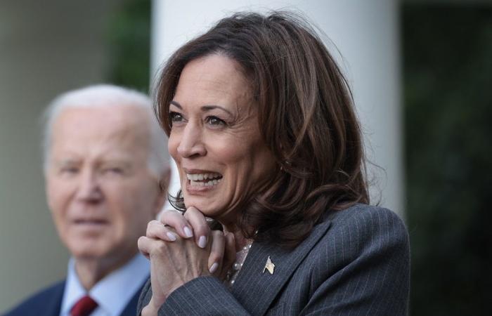 If not Kamala Harris, who else could be the Democratic nominee for November’s election?