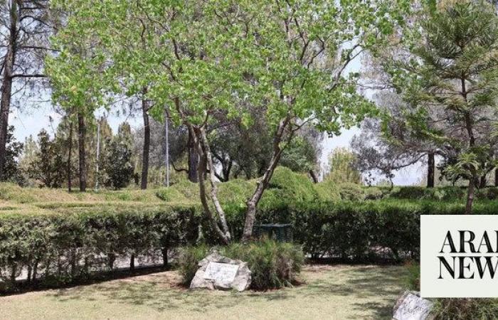 Thriving tree planted by King Faisal a symbol of Saudi-Pakistani relations