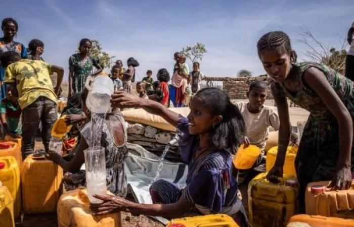 Satellite images and doctor testimony reveal Tigray hunger crisis