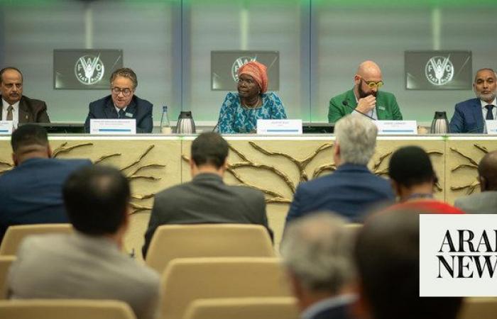 Kingdom highlights environmental efforts at Rome meeting