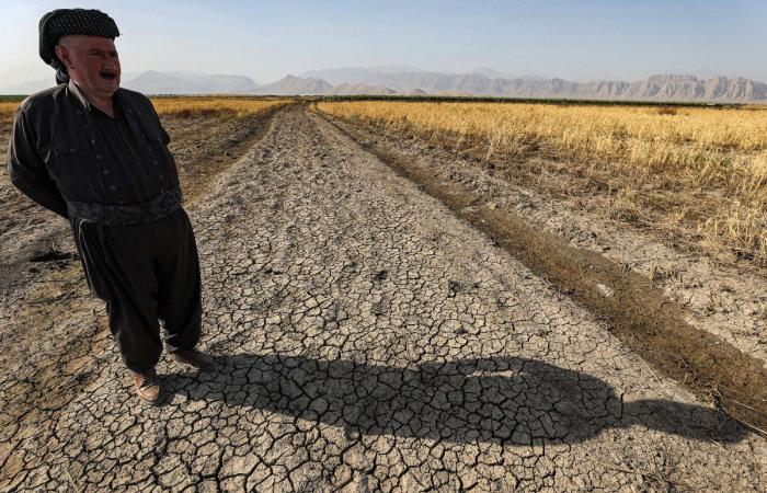 How climate change is exacerbating food insecurity, with dangerous consequences for import-reliant Middle East