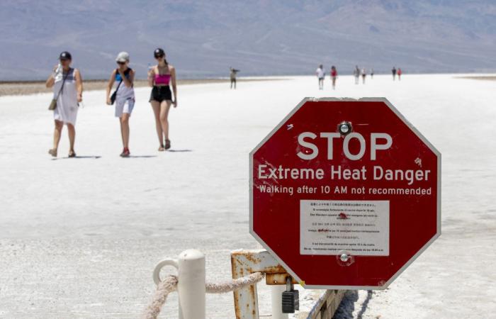 Life and death in the heat. What it feels like when Earth’s temperatures soar to record highs