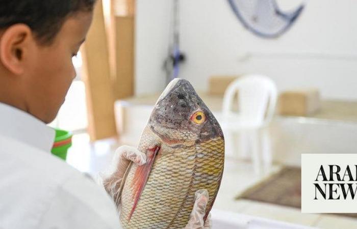 Haql fish market booms as grouper becomes top catch