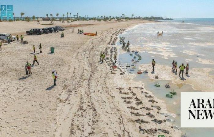 Over 100 people take part in Saudi mangrove planting day