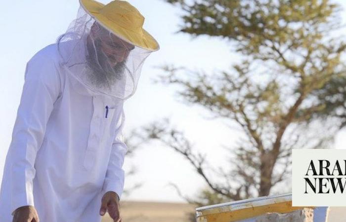 Over 25,000 beehives spread across Saudi royal reserve for honey production season