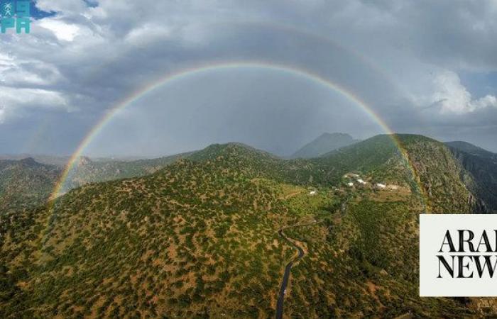 Nature’s sentinels: Juniper trees in Saudi Arabia’s Sarawat mountains