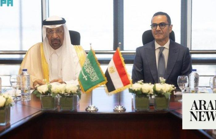 Saudi, Egypt investment ministers hold talks