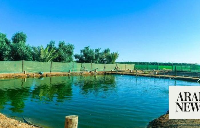 Fish farming’s vital food security role in Saudi Arabia highlighted