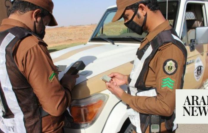 Saudi Arabia arrests 21,049 illegals in one week