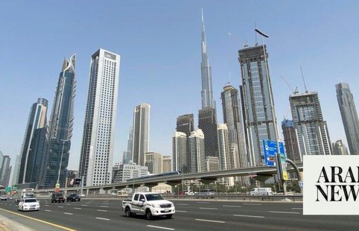 UAE non-oil sector growth robust amid rising price pressures: PMI data