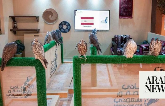 Top Spanish falcon farm joins Riyadh auction