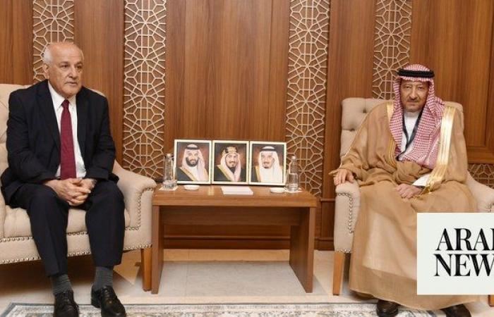 Saudi deputy FM meets with Palestine’s representative to UN on sidelines of OIC meeting