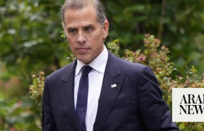 Hunter Biden was hired by Romanian businessman trying to ‘influence’ US agencies, prosecutors say