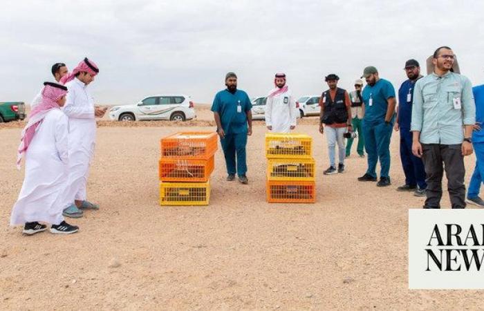 Over 20 spiny-tailed lizards released in royal reserve