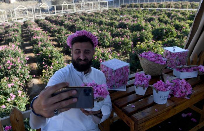 How the sustainable use of water is helping Saudi rose farms bloom into a global industry