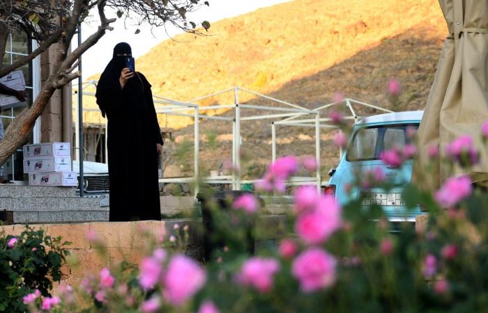 Saudi women in Najran weave success in wicker revival